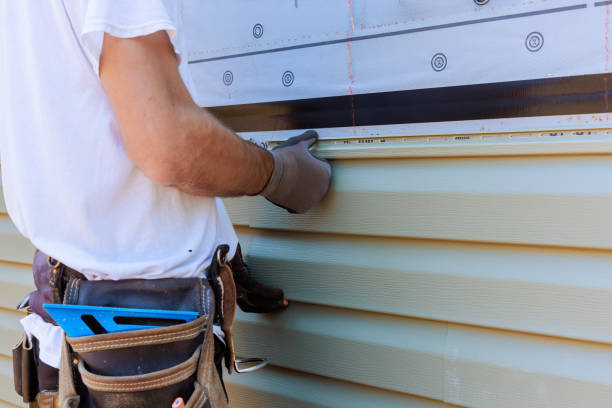 Affordable Storm Damage Siding Repair solutions in Hines, IL